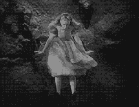 Image result for down the research rabbit hole